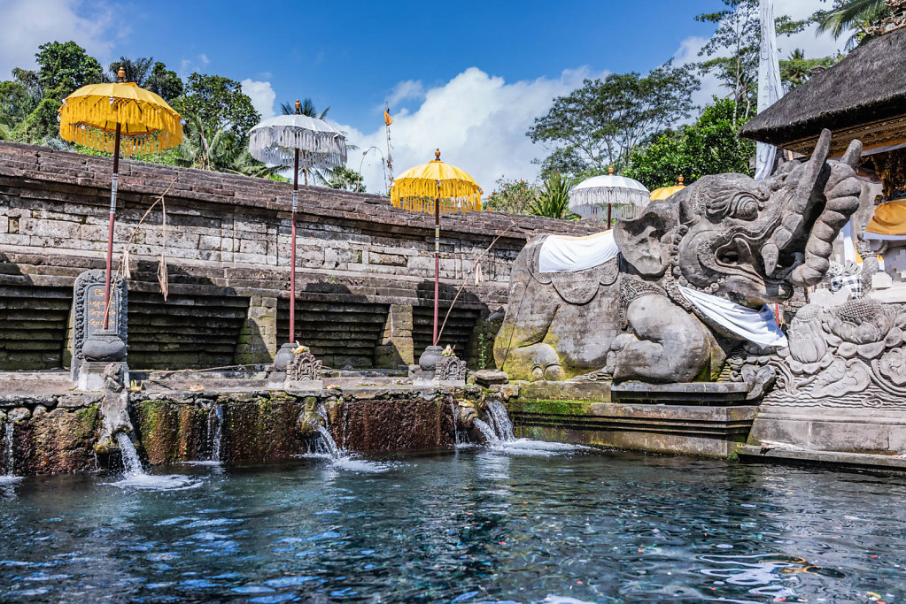 191101-RX1-1425-IDN0941-EDIT.jpg