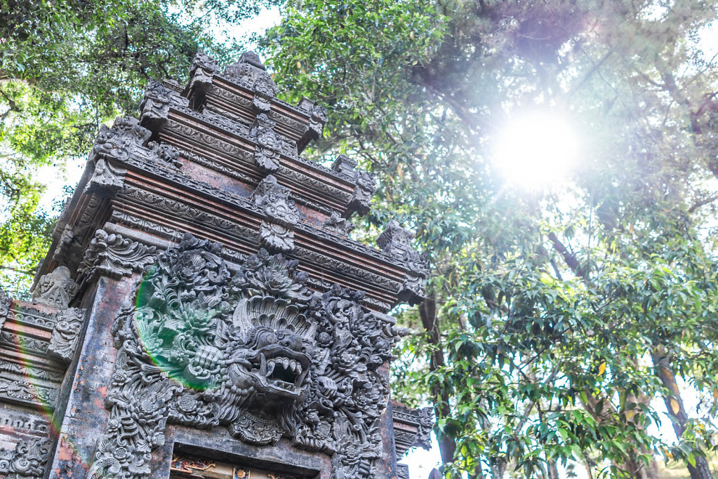 191101-RX1-1459-IDN1003-EDIT.jpg