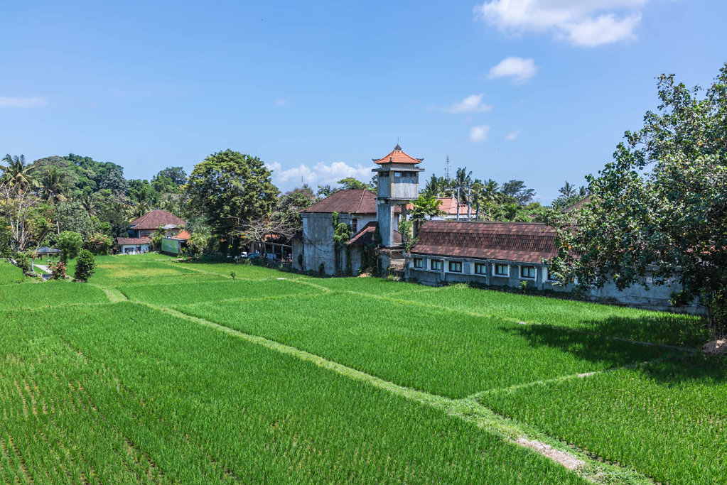 191030-RX1-1330-IDN0701-EDIT.jpg