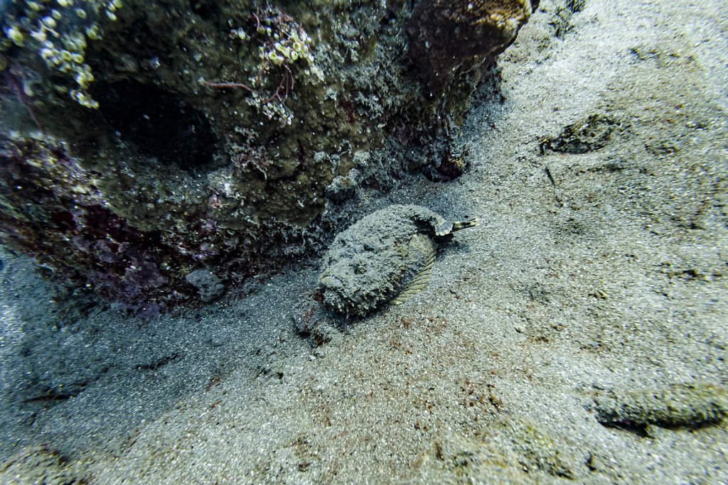 191117-DJI-1153-IDN0925-EDIT.jpg