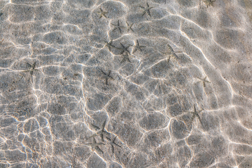 191105-RX1-1539-IDN1165-EDIT.jpg