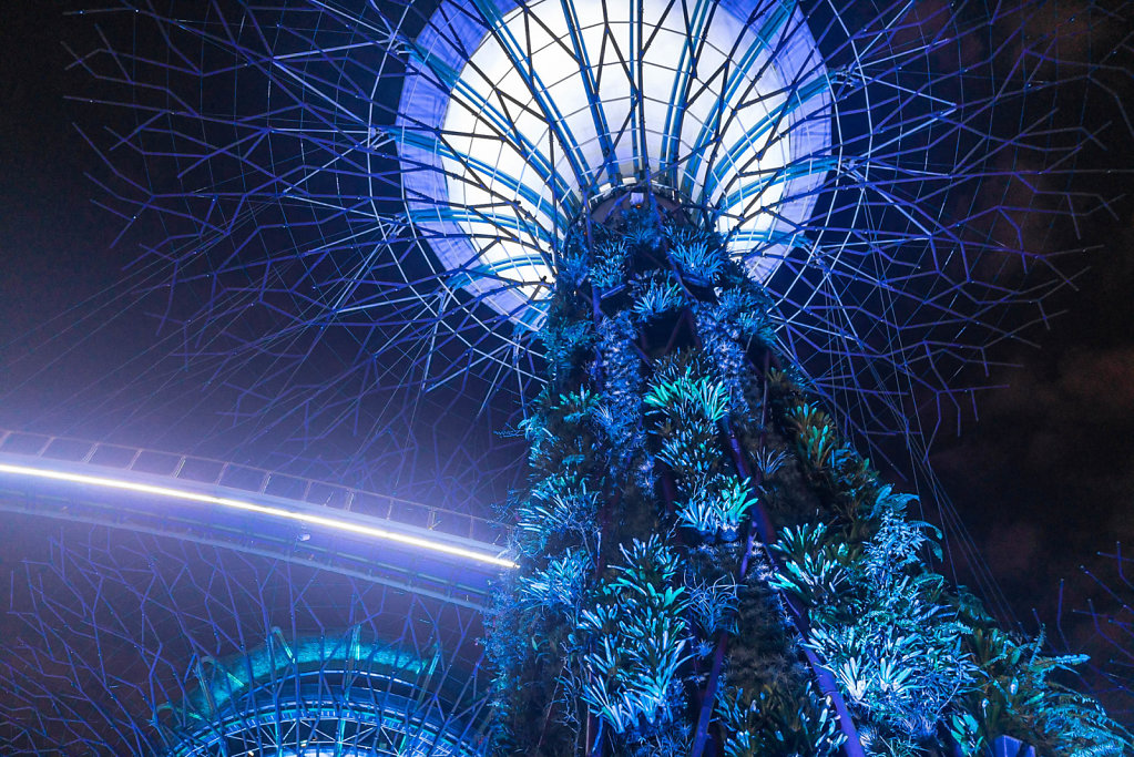 191118-RX1-2301-SGP1342-EDIT.jpg