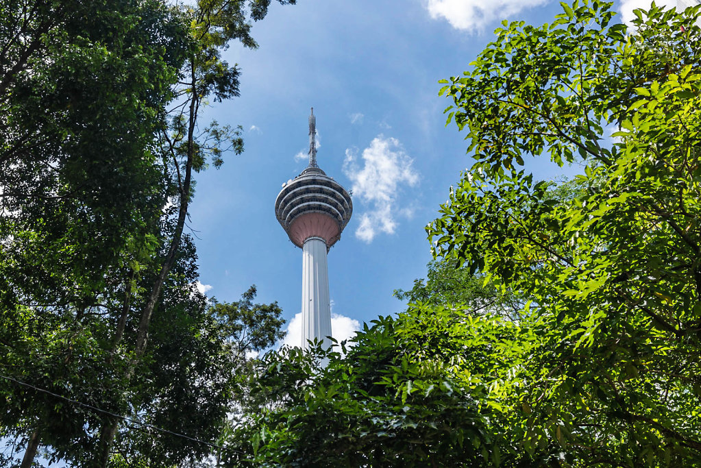 191120-RX1-1324-MYS1386-EDIT.jpg