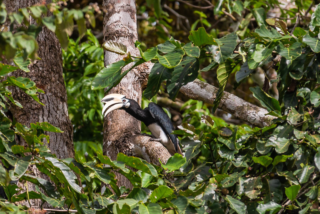 191125-D800-1451-MYS8945-EDIT.jpg