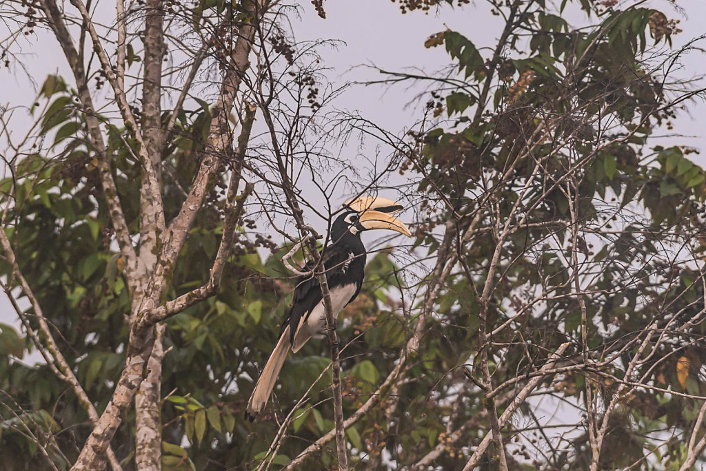 191127-D800-0657-MYS0193-EDIT.jpg
