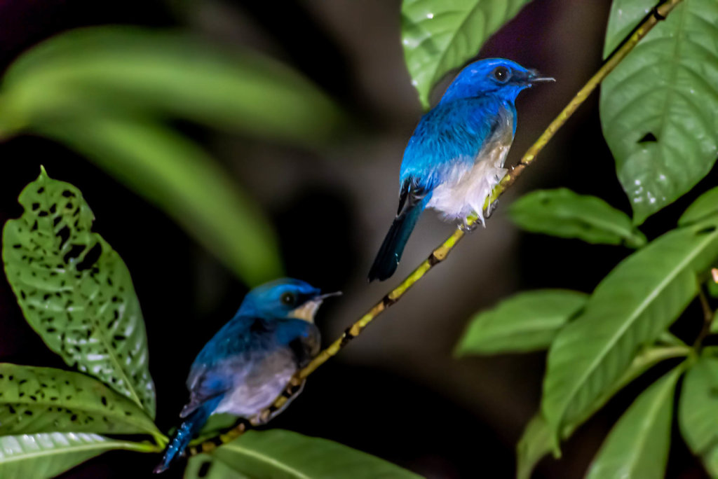 191125-D800-1954-MYS9276-EDIT.jpg