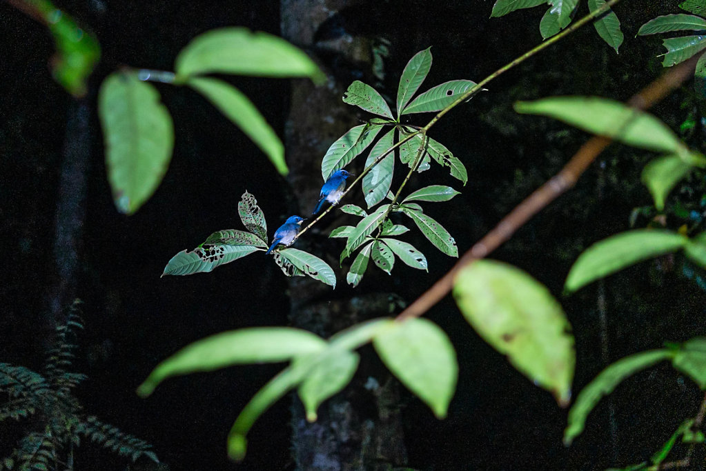 191125-RX1-1951-MYS1542-EDIT.jpg