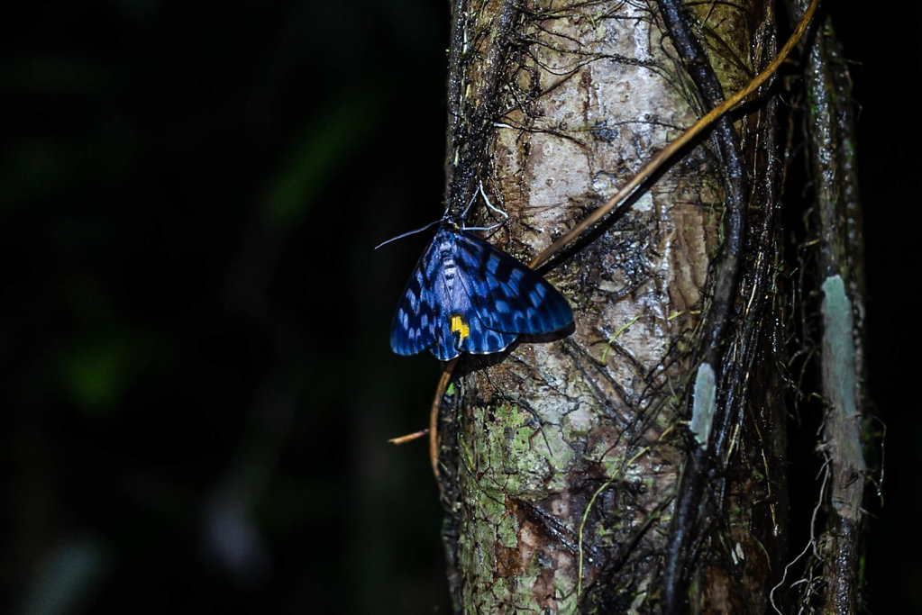 191125-RX1-2012-MYS1559-EDIT.jpg
