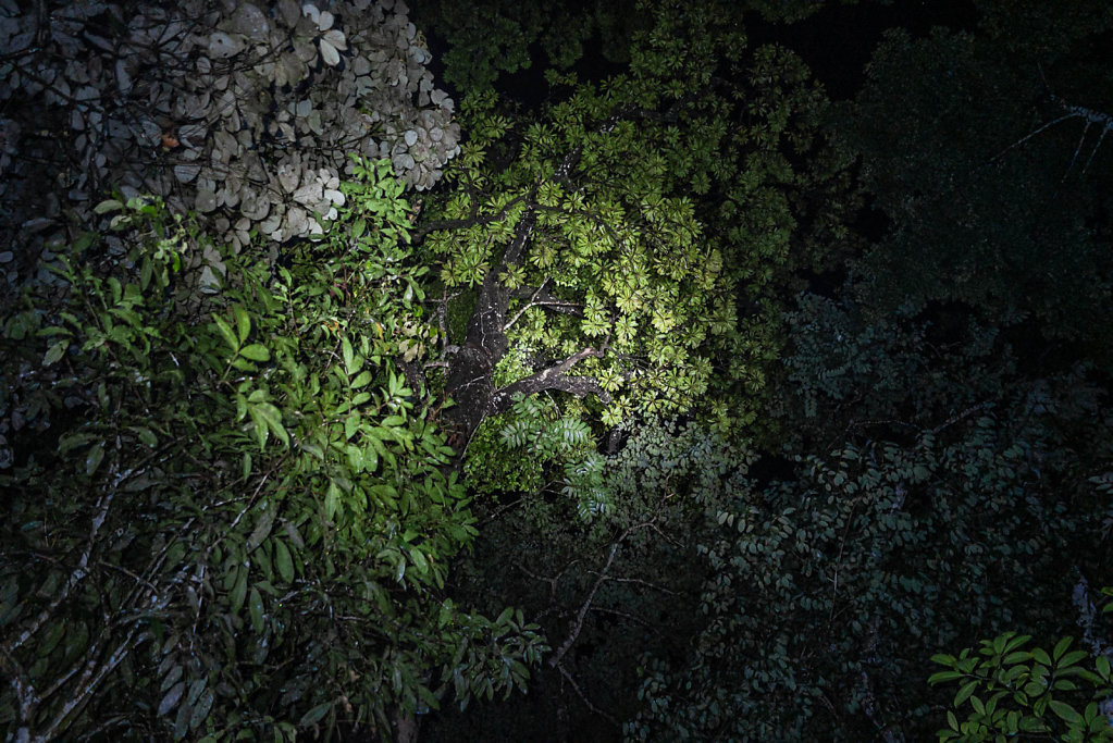 191125-RX1-2046-MYS1575-EDIT.jpg