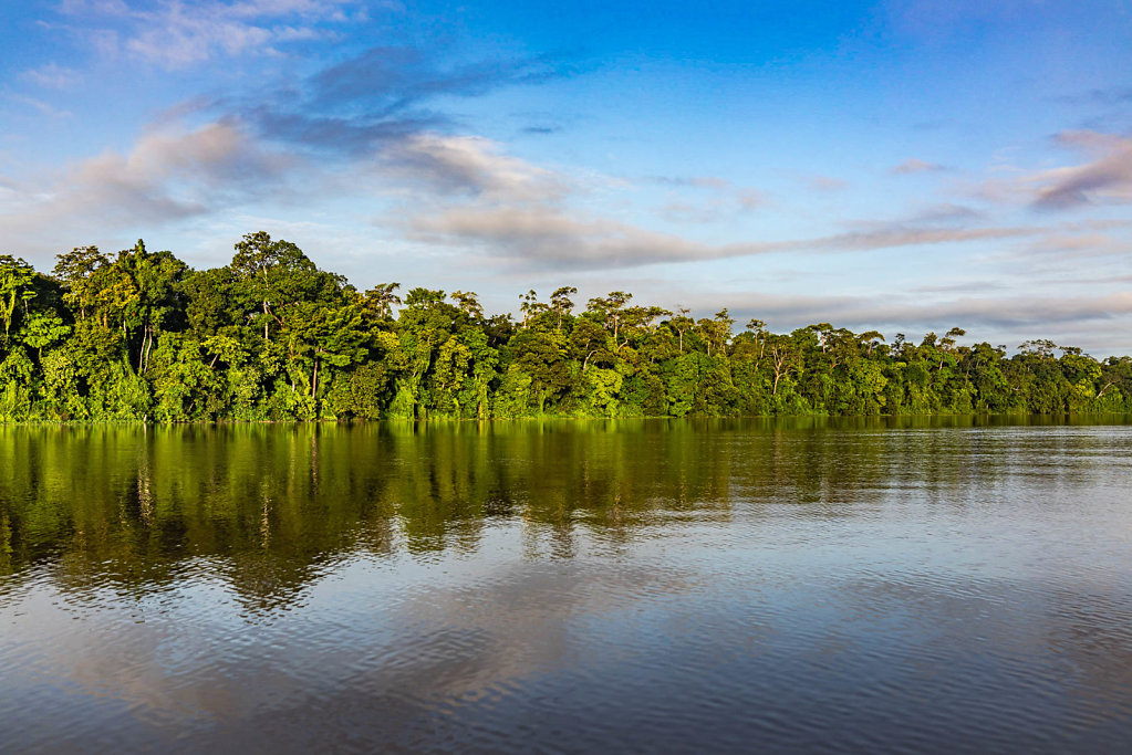 191126-RX1-0635-MYS1593-EDIT.jpg