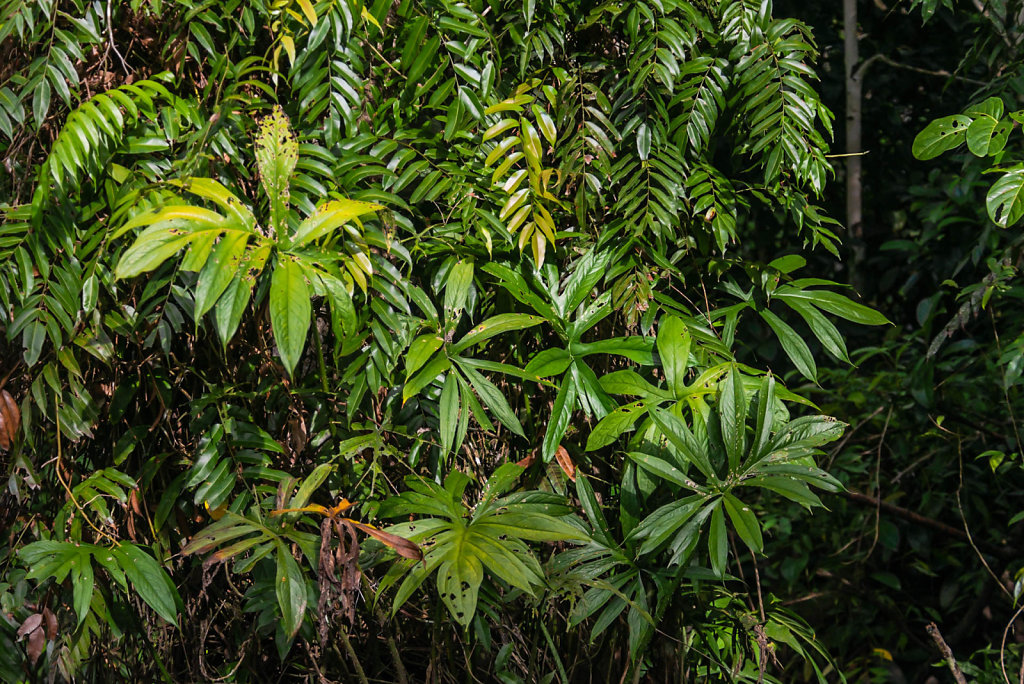 191127-D800-0743-MYS0256-EDIT.jpg