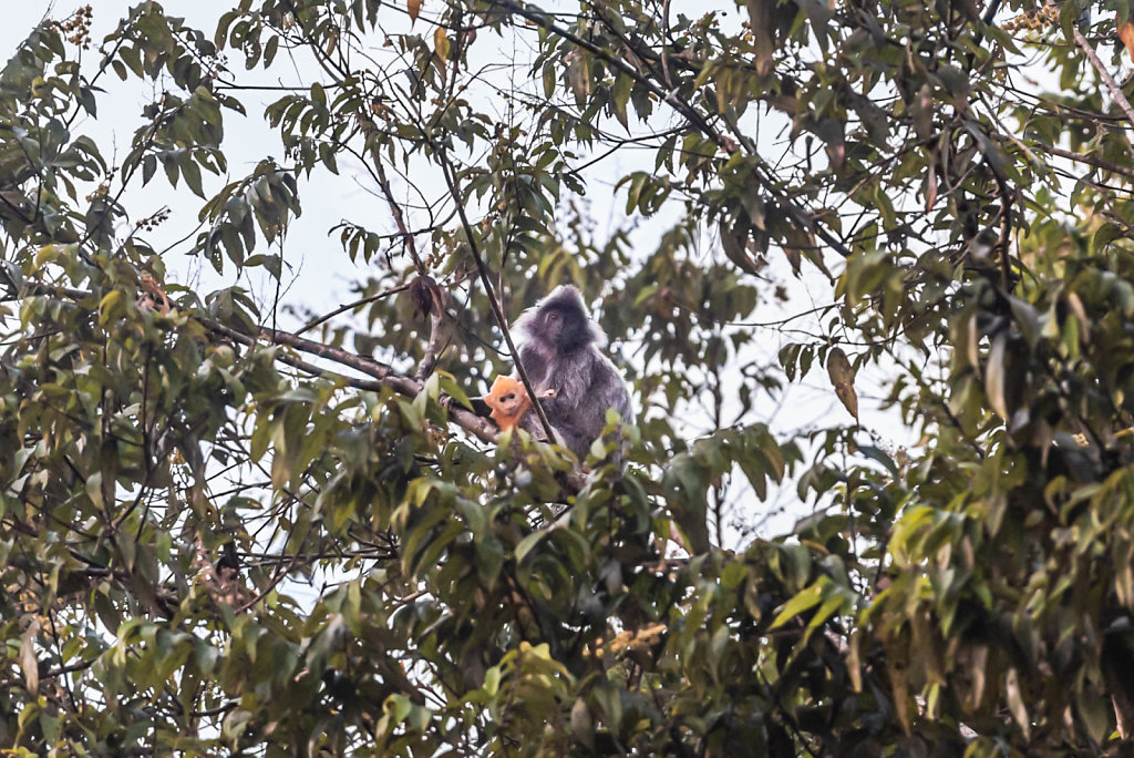191127-D800-1700-MYS0567-EDIT.jpg