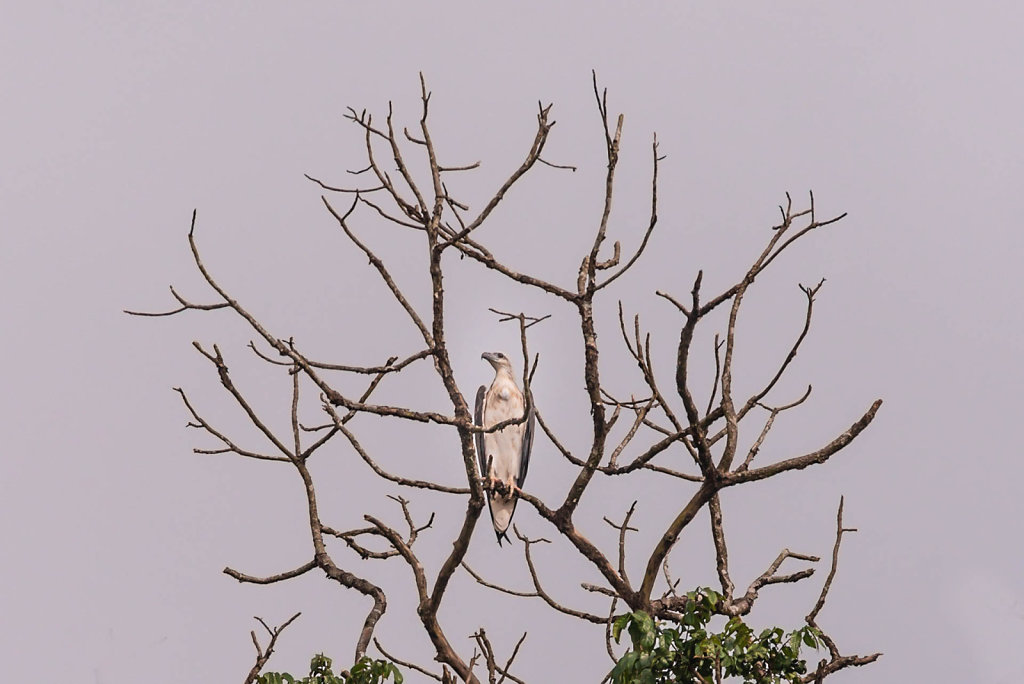 191127-D800-1457-MYS0313-EDIT.jpg