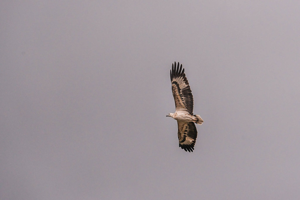 191127-D800-1457-MYS0322-EDIT.jpg