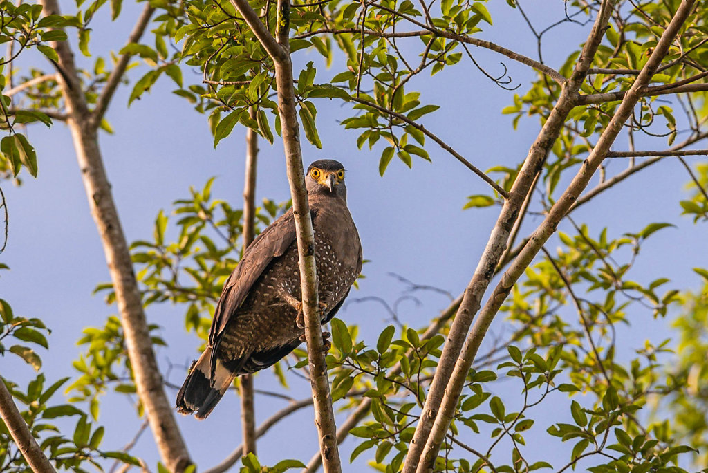 191126-D800-0753-MYS9492-EDIT.jpg