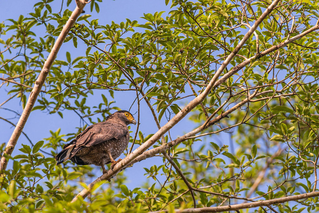 191126-D800-0753-MYS9497-EDIT.jpg