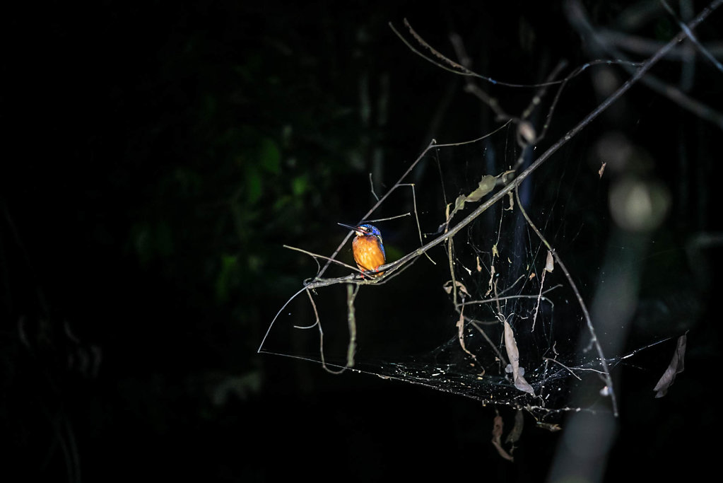 191126-RX1-2049-MYS1818-EDIT.jpg