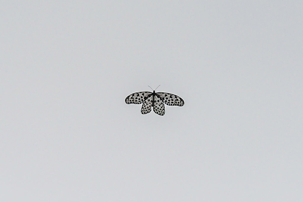 191130-D800-0659-MYS1021-EDIT.jpg
