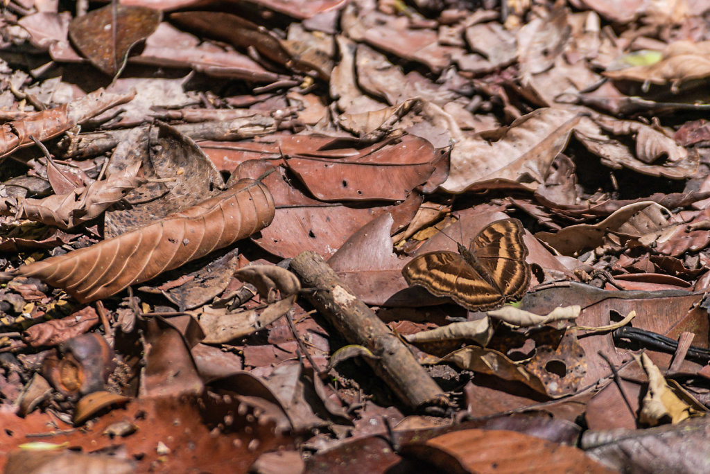 191130-D800-1106-MYS1201-EDIT.jpg