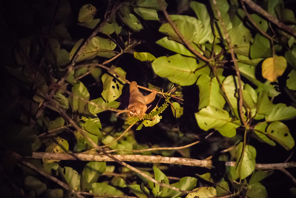 191129-D800-2027-MYS0950-EDIT.jpg