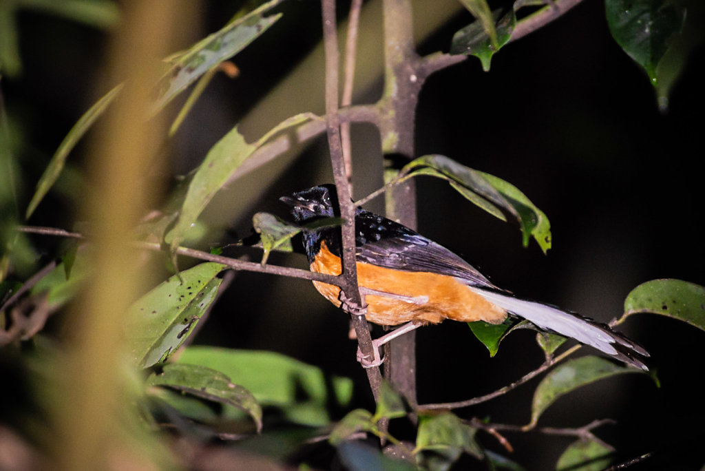 191130-D800-2026-MYS1332-EDIT.jpg