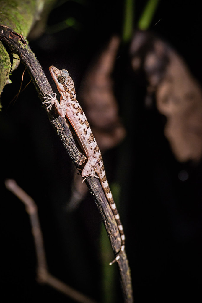 191130-D800-2033-MYS1351-EDIT.jpg