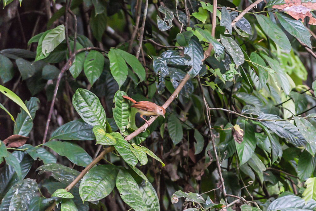 191130-D800-0705-MYS1031-EDIT.jpg