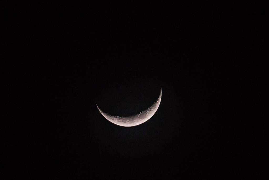 191130-D800-1850-MYS1279-EDIT.jpg