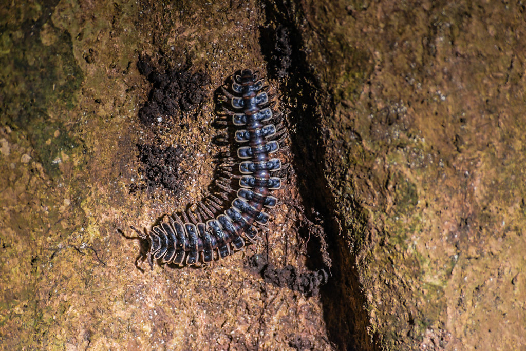 191130-D800-2030-MYS1345-EDIT.jpg