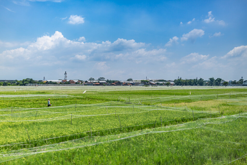 191209-RX1-1303-IND2746-EDIT.jpg