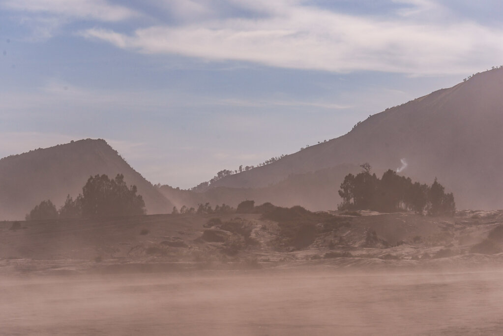 191210-D800-0750-IDN1950-EDIT.jpg