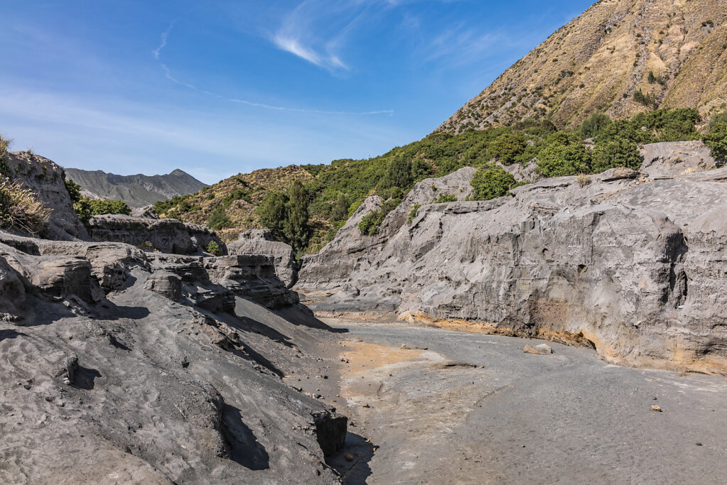191210-RX1-0902-IND3141-EDIT.jpg