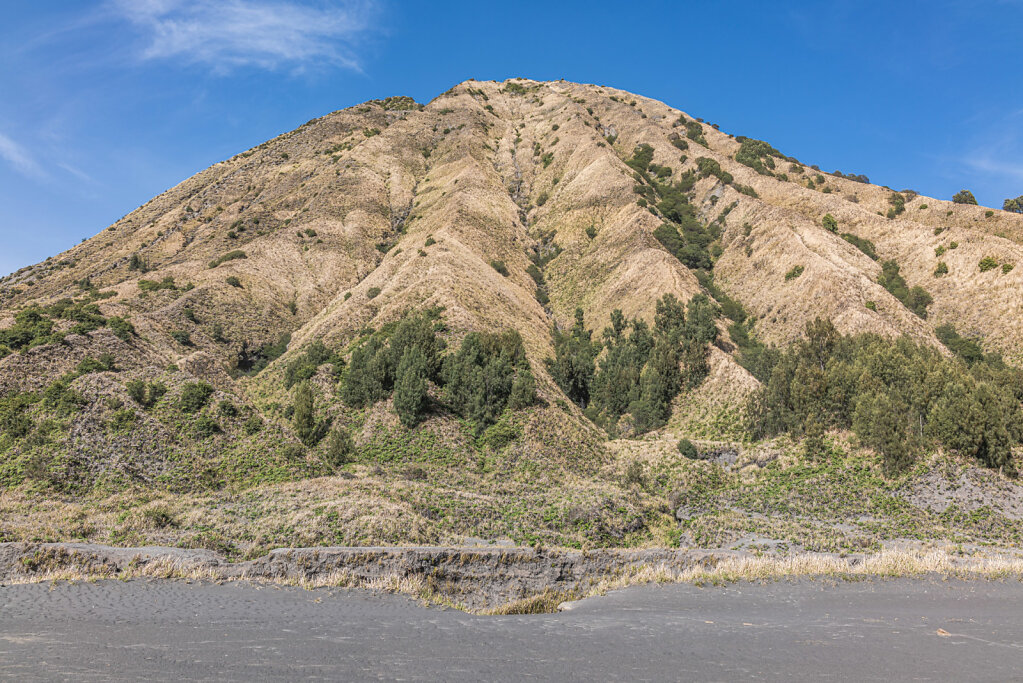 191210-RX1-0911-IND3146-EDIT.jpg