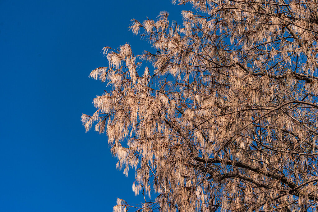 191211-D800-0807-IDN2480-EDIT.jpg