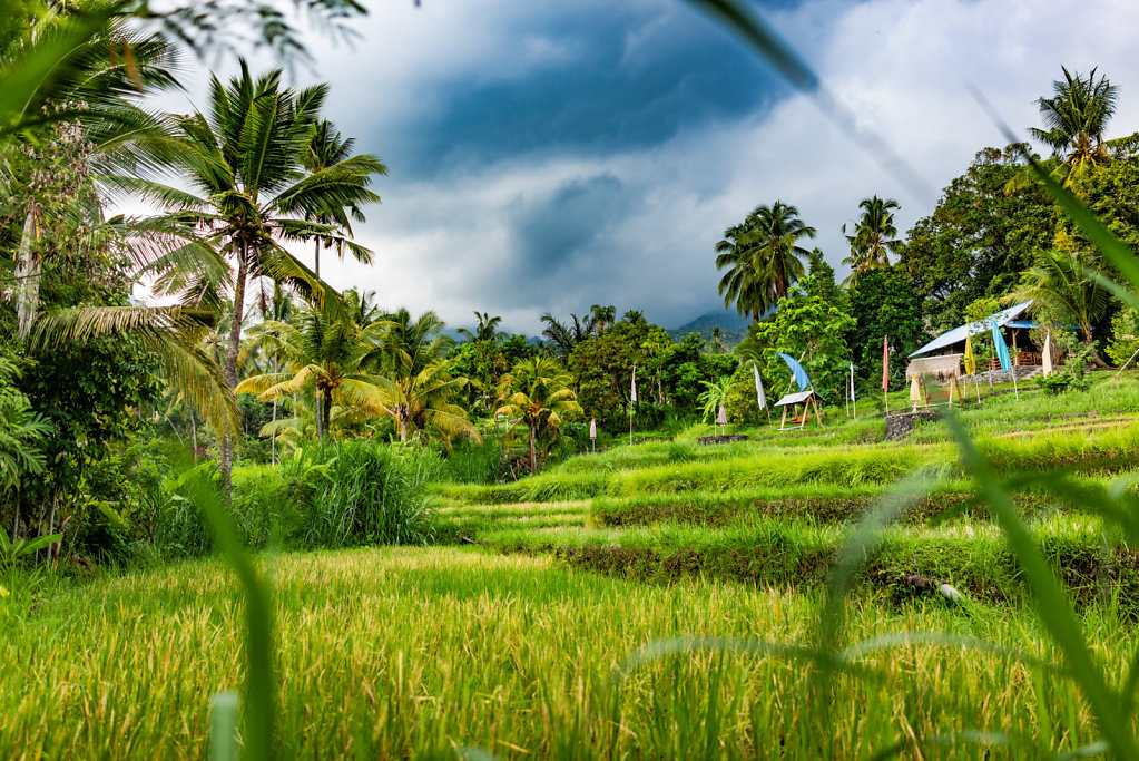 191214-RX1-1146-IND4276-EDIT.jpg
