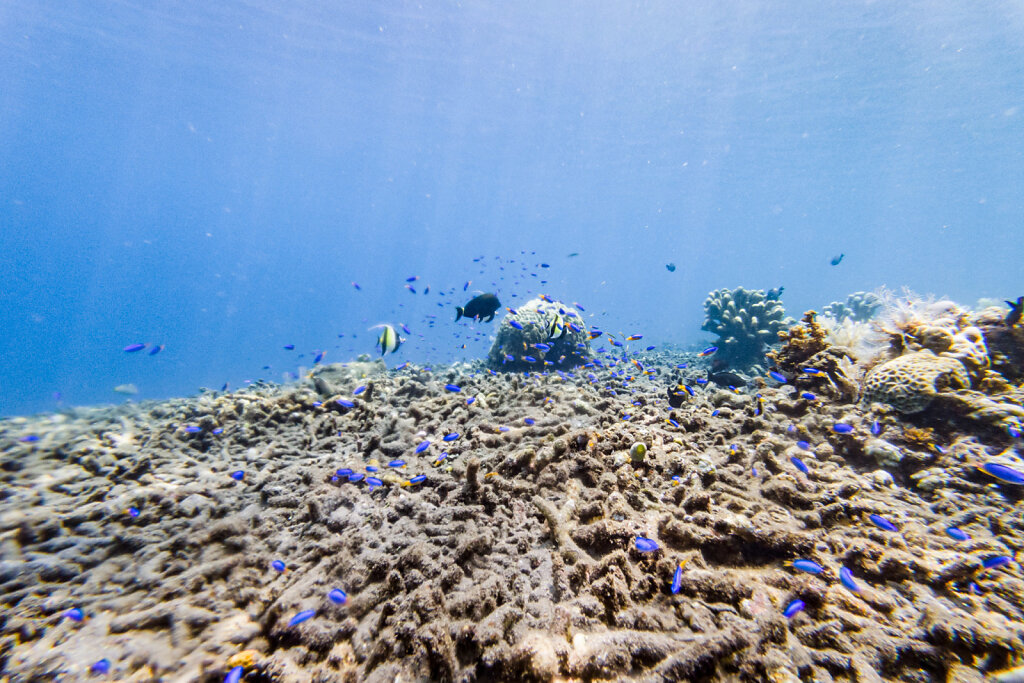 191215-DJI-1252-IDN0512-EDIT.jpg