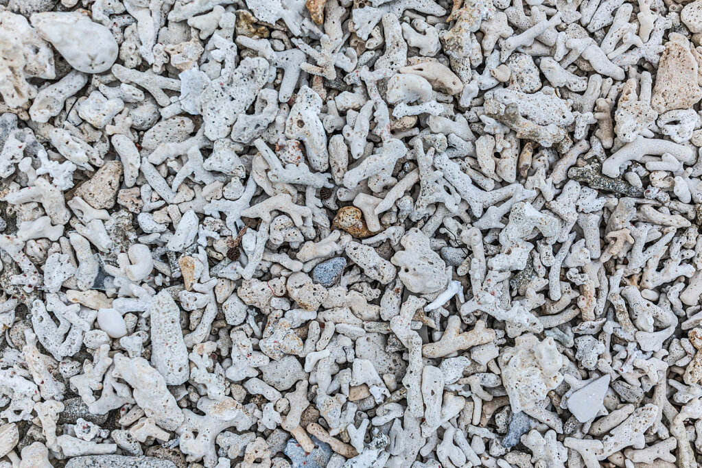 191217-RX1-1644-IND4432-EDIT.jpg