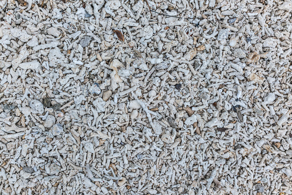 191217-RX1-1645-IND4433-EDIT.jpg