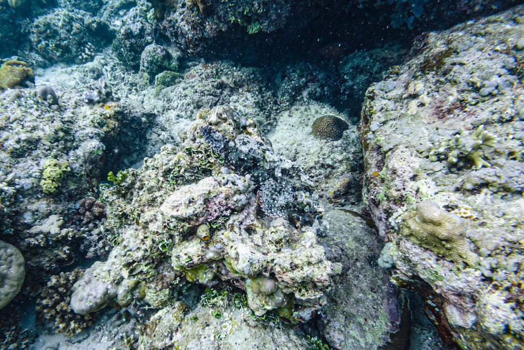 191218-DJI-1642-IDN0990-EDIT.jpg