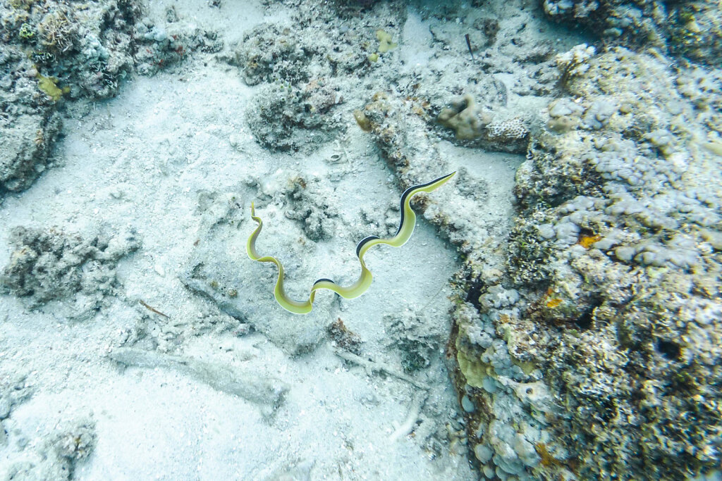 191218-DJI-1642-IDN0997-EDIT.jpg