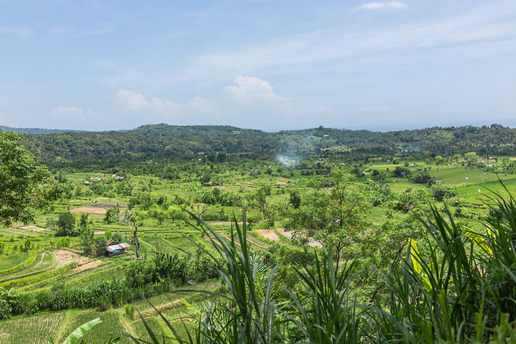 191220-RX1-1248-IDN4576-EDIT.jpg