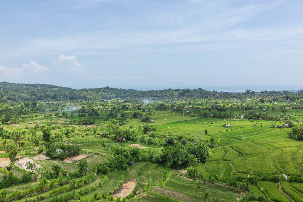 191220-RX1-1252-IDN4609-EDIT.jpg