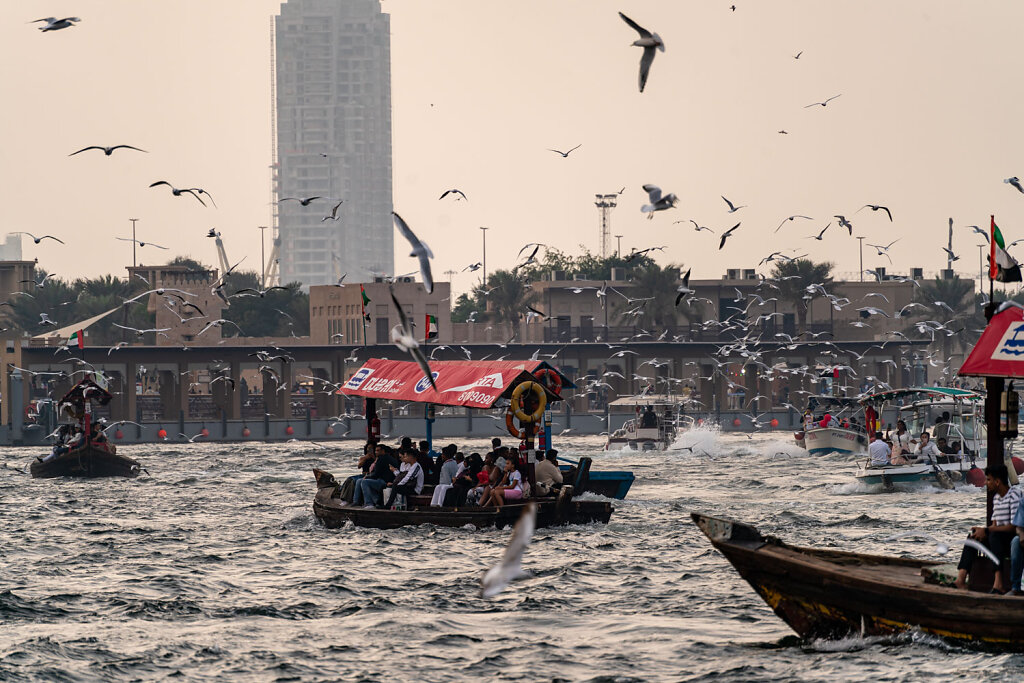DSC8060-Blog.jpg