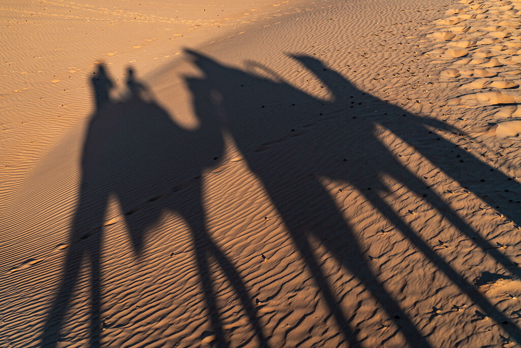 DSC8510-Blog.jpg