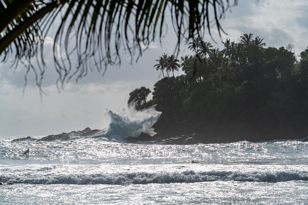 DSC9357-Blog.jpg