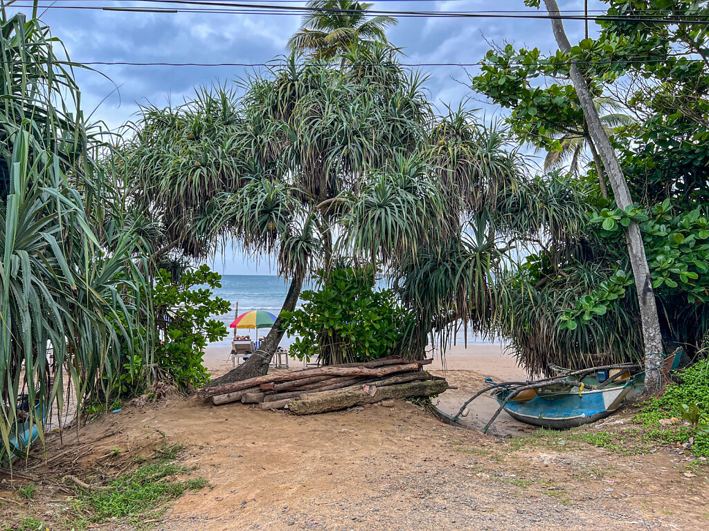 IMG-4926-Blog.jpg
