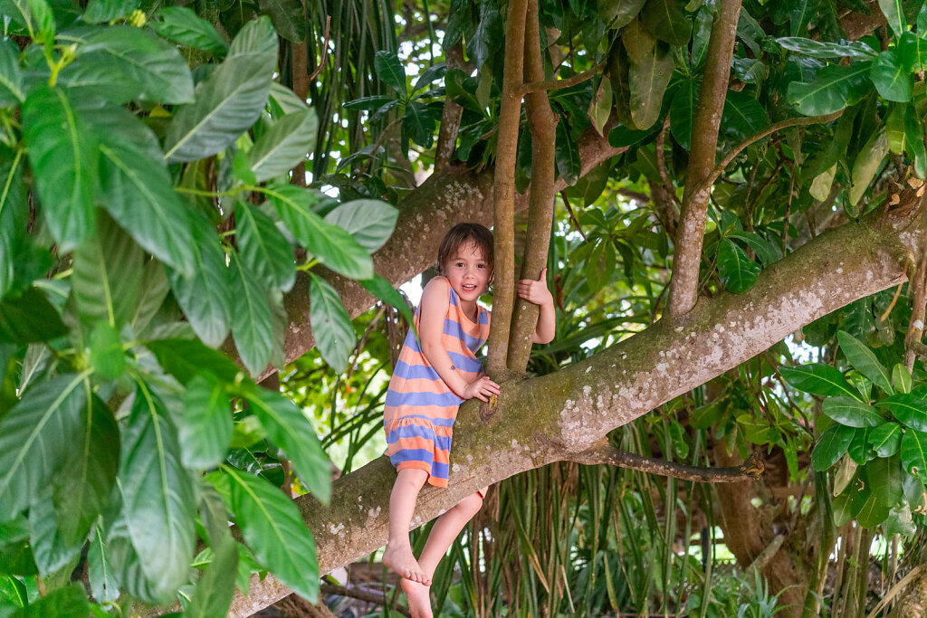 DSC9537-Blog.jpg
