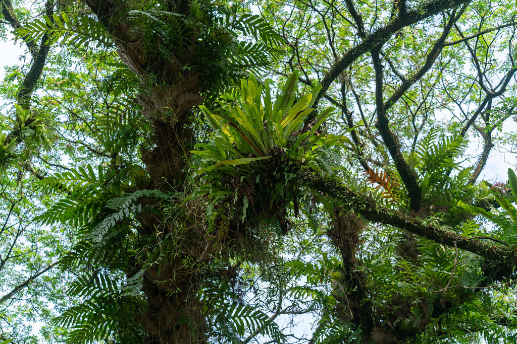 DSC9696-Blog.jpg