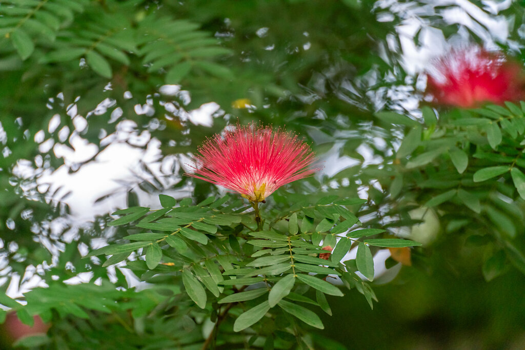 DSC9699-Blog.jpg