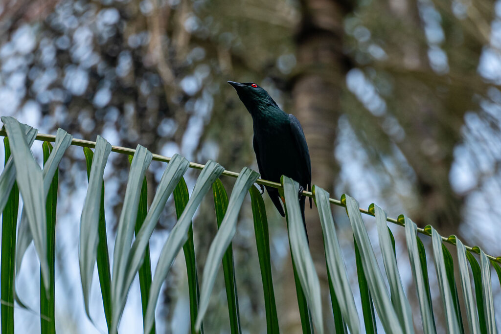 DSC9717-Blog.jpg
